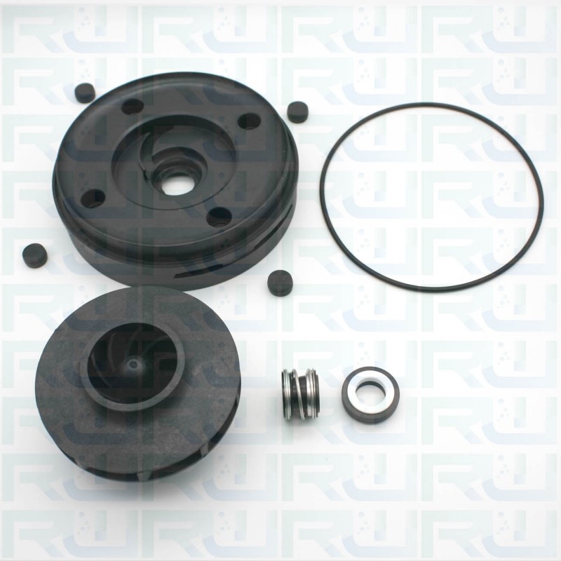 Kit revisione pompa idromassaggio 1,2 CV